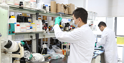 yl6809永利(中国游)官方网站