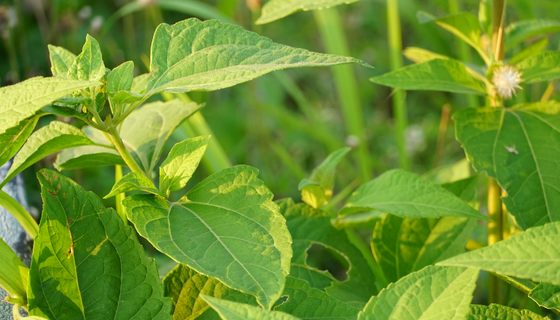 yl6809永利(中国游)官方网站
